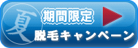キャンペーン情報